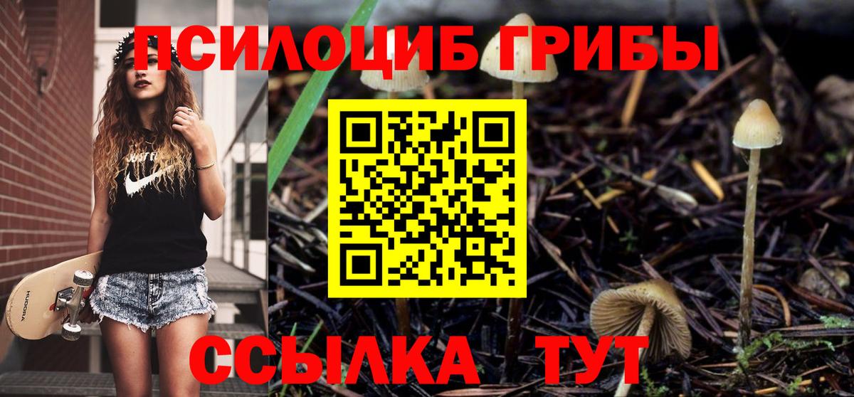 Галлюциногенные грибы Magic Shrooms  Вход с VPN  где найти   Кохма 