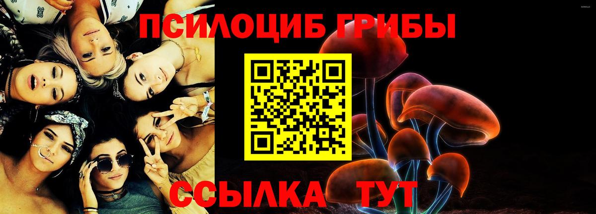 Псилоцибиновые грибы Psilocybe Кохма